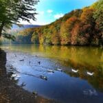 بحيرة سيفان وديليجان 3