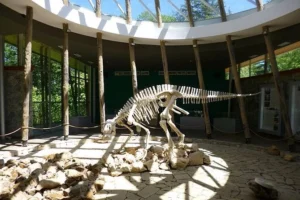 كهوف ستابليا