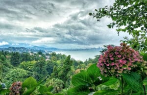 مدينة ساربي جورجيا