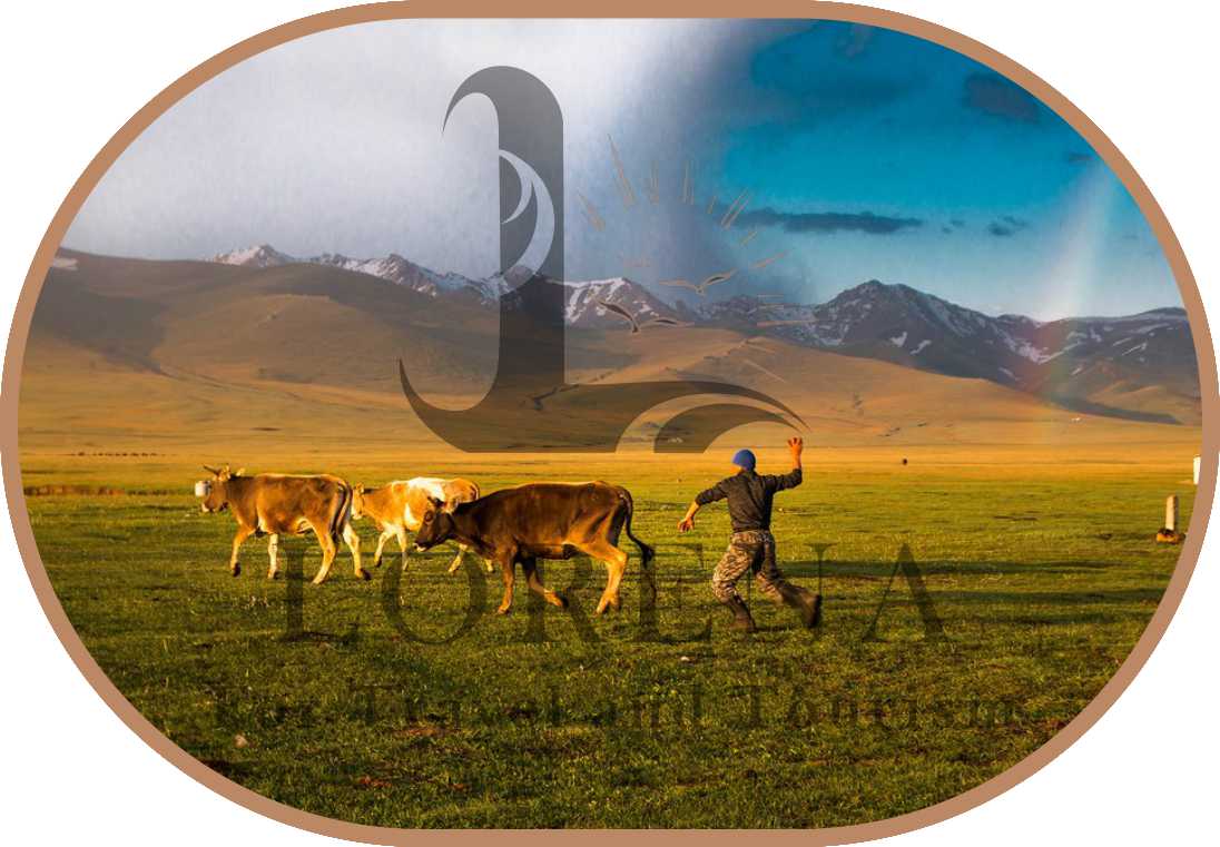 تساغكادزور 2